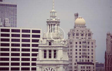 Employee Rights & Employer Responsibilities